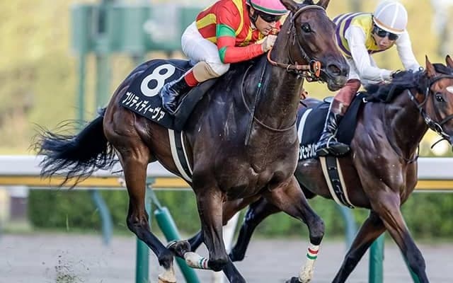 キングマン産駒の“大器” 無傷の3連勝でリステッドVなるか