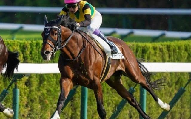 名牝スイープトウショウの仔が得意の舞台で3勝目を狙う