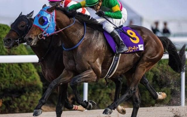 昨年悲願のタイトル獲得 ダートスプリント界の古豪が根岸S史上初の8歳馬V狙う