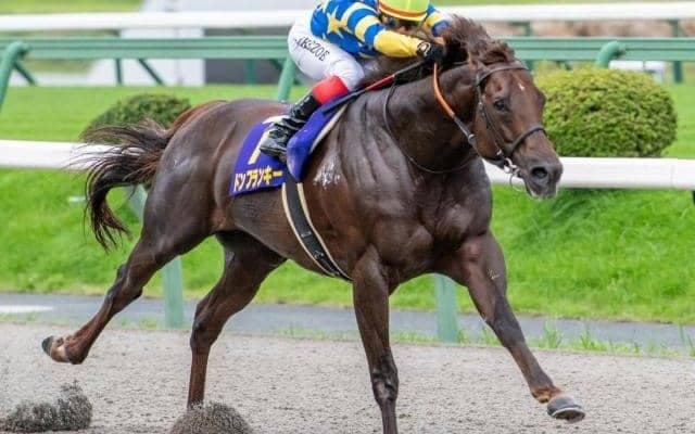 日曜の府中は雨or雪予報 道悪成績7戦5勝を誇る根岸Sの狙い馬とは