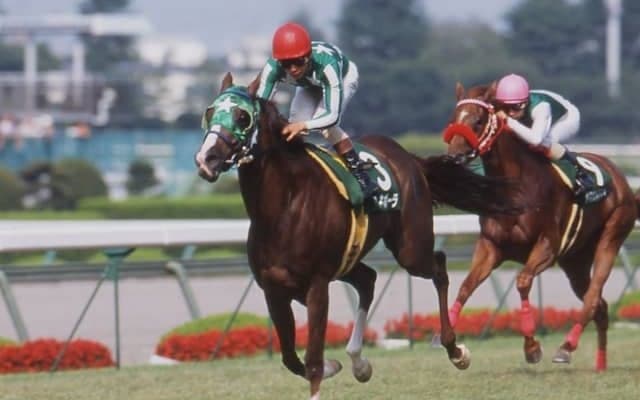 タイキポーラが29歳で死す トウカイテイオー産駒の01年マーメイドS覇者