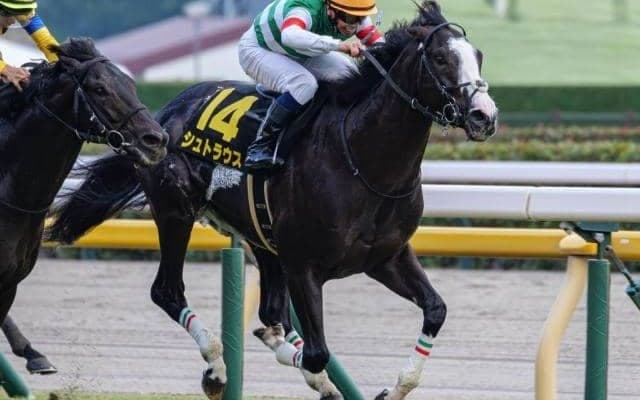 折り合い課題の重賞1勝馬 キャリア初の2000m戦で一発なるか