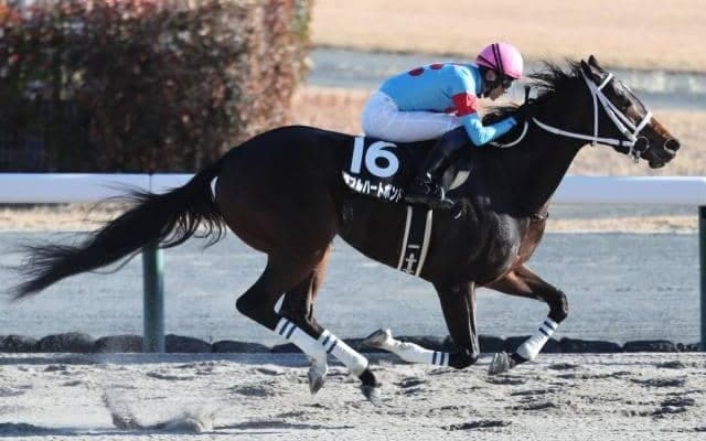 【今日の注目ポイント】東京と京都が開幕 東京でOPの白富士SとクロッカスS