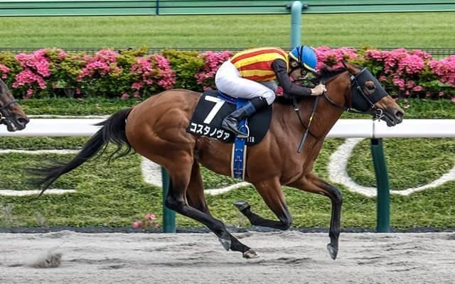 【根岸S予想】関西馬を中心に見るのが的中の秘訣!? 大苦戦の関東馬は東京のダート重賞での実績が必要不可欠
