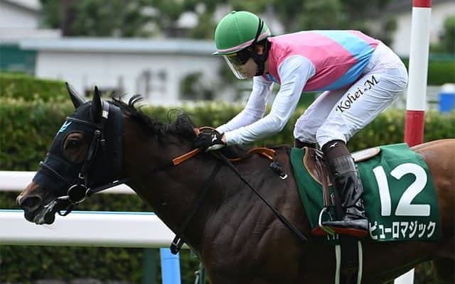 【シルクロードS予想】意外にも前走好走馬が結果を残すハンデ重賞！ 前走6着以下の牝馬には要注意