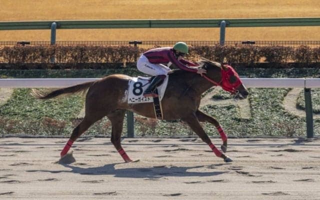 【東京4R】単勝1.7倍 へニーガイストが2勝目
