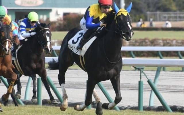 【AI予想・根岸S】フェブラリーSに向けて最も重要な前哨戦！ 人工知能はダート1400mで無敗の実力馬を高評価