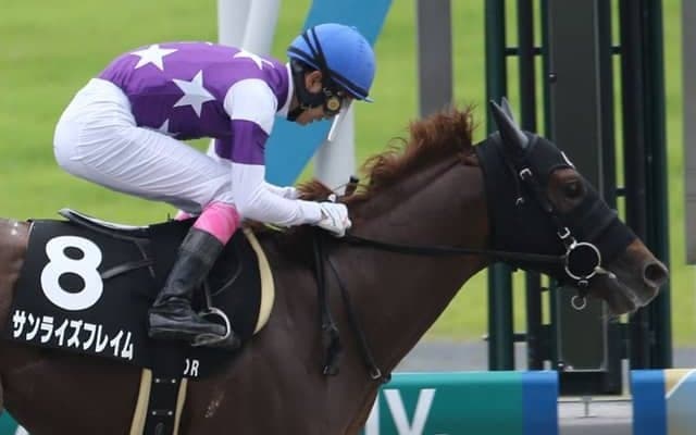 【根岸S予想】今年は馬場状態もポイント 追い込みが決まりやすい厳冬の一戦