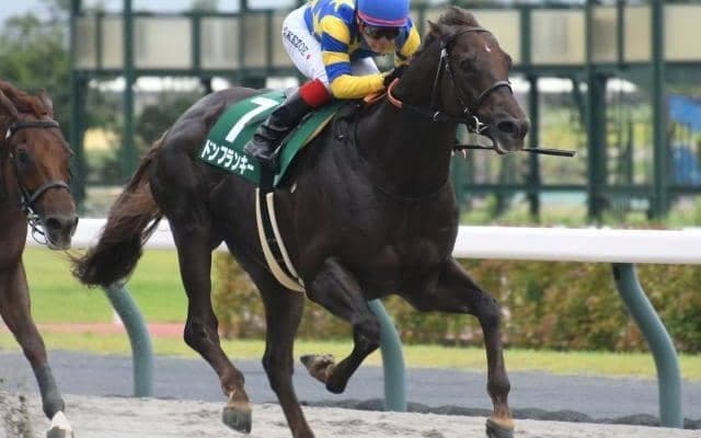 【根岸S予想】狙うなら好ポジからの上がり最速タイプ？ 過去データから探るGIII根岸S