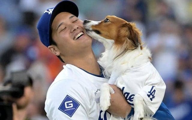 半年後に判明…大谷翔平、まさかの行動「気づかなかった」　“新たな才能”にファン驚き