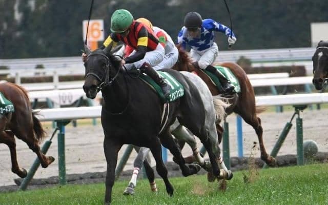 【JRA・WIN5】小倉・京都メインの波乱で的中5票、配当1億2130万4820円