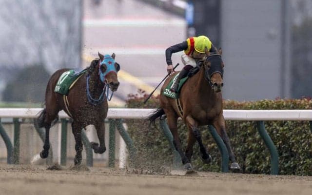 【根岸S】コスタノヴァが突き抜ける…タガノビューティーは落馬