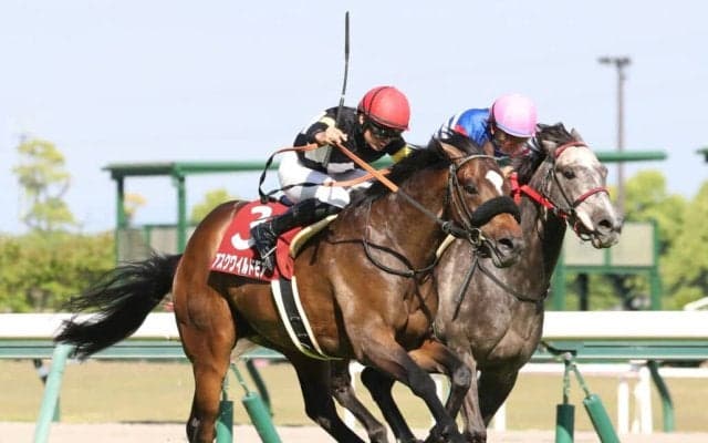 アスクワイルドモアが引退