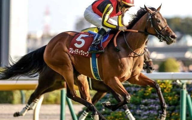 東京で東京新聞杯と京都できさらぎ賞の2重賞/今週の競馬界の見どころ