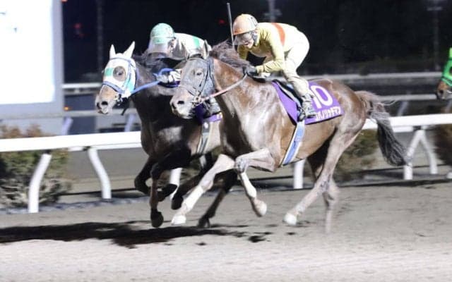 【高知・黒潮スプリンターズC】コパノリッチマンが快勝…アラジンバローズは2着