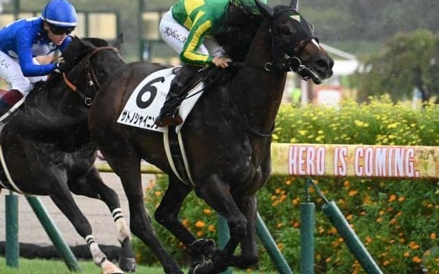 【きさらぎ賞見どころ】好素材サトノシャイニングが初重賞制覇だ