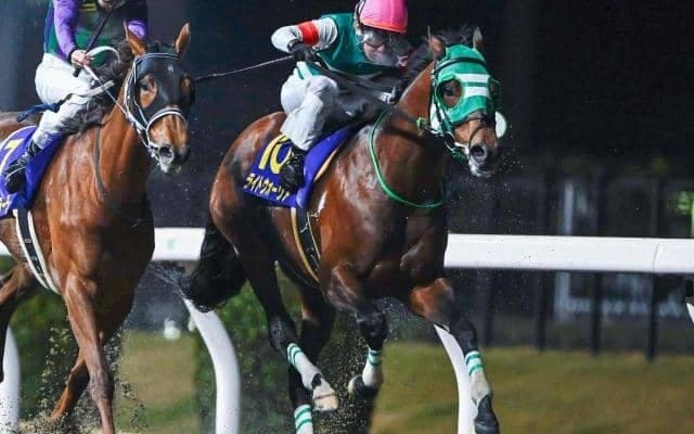 【川崎・報知オールスターC枠順】昨年の地方年度代表馬ライトウォーリアは7枠11番