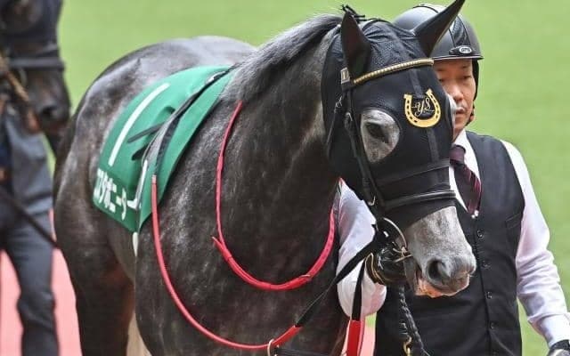 【先週のJRA抹消馬】昨年の福島牝馬S覇者コスタボニータ、22年のクラシック戦線沸かせたピースオブエイトやアスクワイルドモアなど