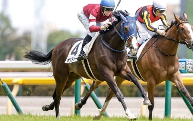 【AI予想・東京新聞杯】父サンデーサイレンス系が圧倒的な良績を残す！ 重賞での好走実績が豊富な本候補とは