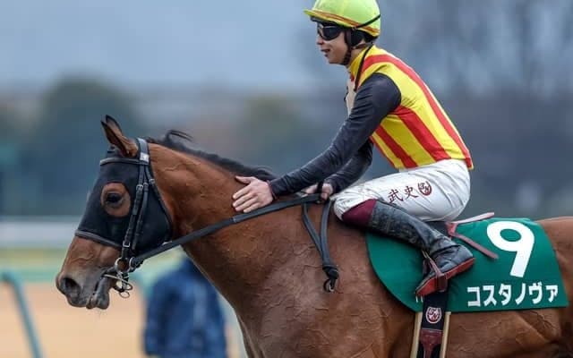 コスタノヴァが根岸S制す 重賞馬を多く出すロードカナロア産駒の配合パターンとは