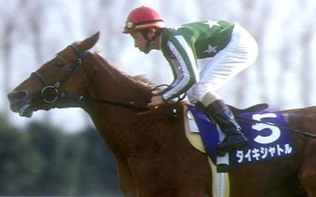 タイキシャトルなどの父デヴィルズバッグを深掘り 多くのGI馬を支える名血の影響力