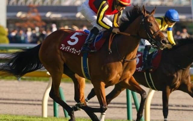 きさらぎ賞出走のいとこと同日重賞Vへ ブレイディヴェーグが東京新聞杯に参戦