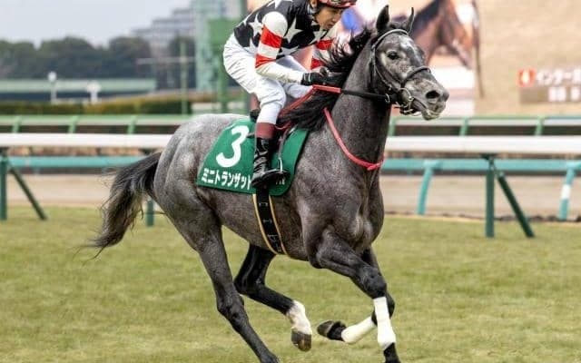 前走鋭い大外一気で好走の芦毛 きさらぎ賞で重賞初V狙う