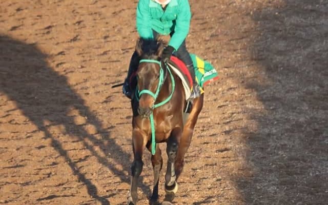 ソーダズリングなど、先週の入厩情報/栗東トレセンニュース