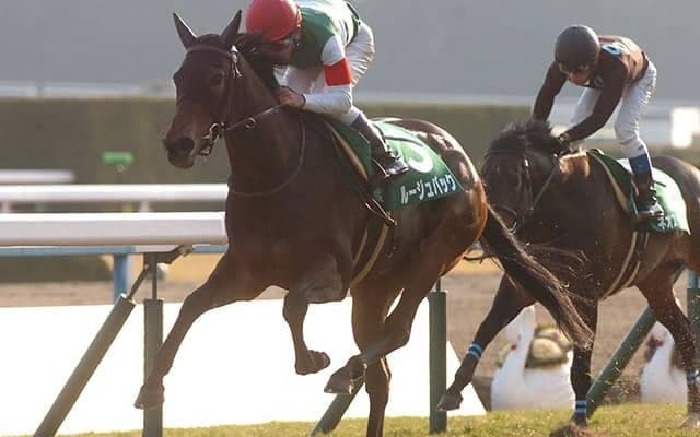 芝のきさらぎ賞を制した唯一の牝馬  ルージュバックの勝利から10年