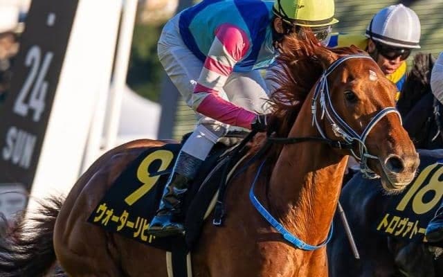 祖母と母も手がけたゆかりの血統馬 東京新聞杯で定年迫る河内洋調教師に7年ぶりJRA重賞Vを届けるか