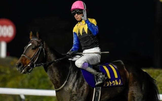 【佐賀記念注目馬】連覇を狙うノットゥルノはじめ好メンバー集結 今年の中距離路線を占う一戦