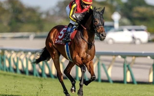 【東京新聞杯出走馬・騎手確定】ブレイディヴェーグ＆C.ルメール騎手、ボンドガール＆武豊騎手など16頭