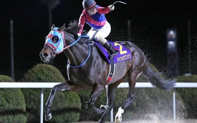 【佐賀・佐賀記念結果】メイショウフンジンが逃げ切って重賞初制覇