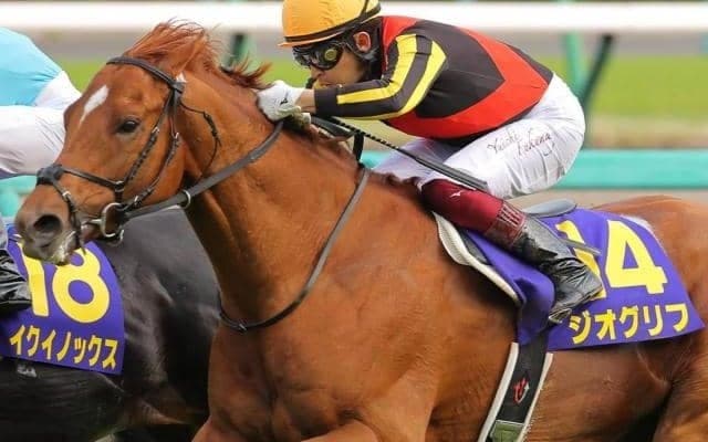 東京新聞杯で復活期す3年前の皐月賞馬 3年ぶりのGIII参戦で3年ぶり白星へ