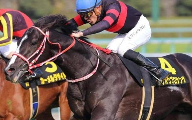 矢作厩舎期待の4.1億円馬 小倉日経賞で連勝果たし大舞台へ羽ばたけるか