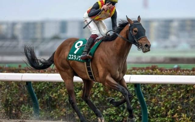 【フェブラリーS想定馬・騎手】コスタノヴァ、ペプチドナイルなど21頭