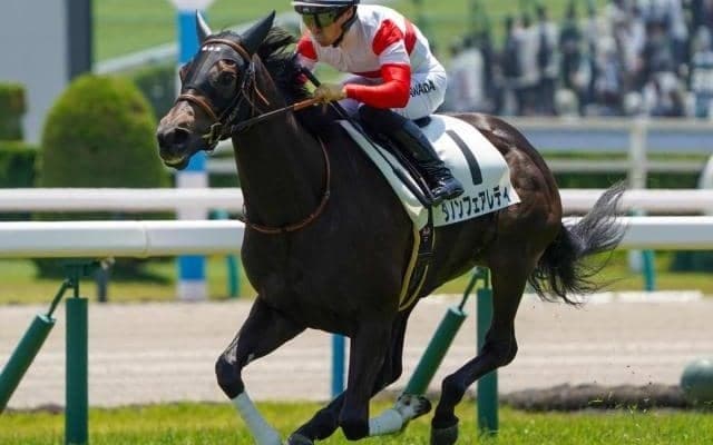 京都芝はディープインパクト系が好調 エルフィンSはキズナ産駒のダノンフェアレディが決める