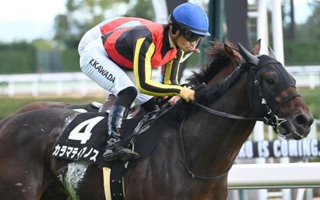 【共同通信杯想定馬・騎手】カラマティアノス、ネブラディスクなど8頭