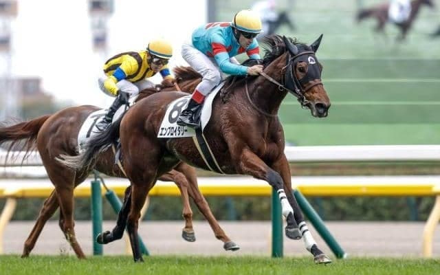 【クイーンC想定馬・騎手】エンブロイダリー、マディソンガールなど14頭