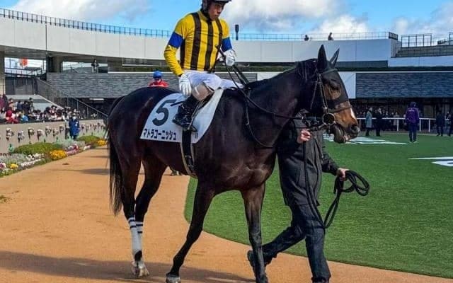 “祖母の忘れ物”牝馬クラシック制覇へ エアメサイアの孫がエルフィンSで連勝狙う