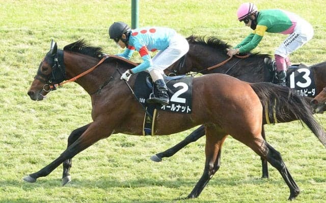 【競馬予想】東京新聞杯で注目の血統は「サトノダイヤモンド」と「ルーラーシップ」安田記念へと羽ばたくのは？