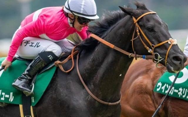 東京芝は内有利 最内枠のサクラトゥジュールが連覇決める