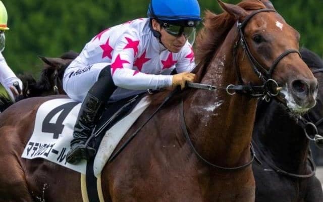 近親に活躍馬並ぶ億超えホース 小倉8Rで1年4カ月ぶりの復帰戦