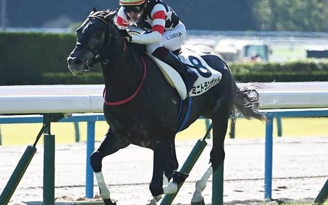 【きさらぎ賞予想】今年も10頭立てと少頭数 先行激化は考えにくく瞬発力がカギ