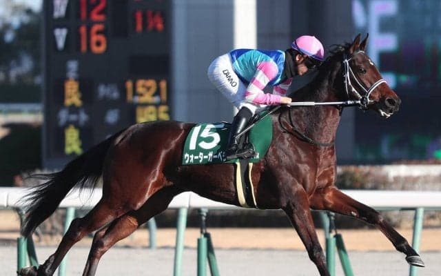 【競馬予想】きさらぎ賞は少頭数でも波乱含み...人気の盲点となっている２頭で好配当を狙え