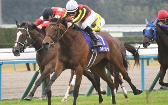 【東京新聞杯予想】狙うのは上がり最速タイプではない？ 過去データから探るGIII東京新聞杯