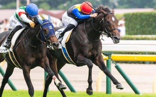 【ゆりかもめ賞】母は三冠牝馬のアパパネ アマキヒが巻き返して2勝目なるか