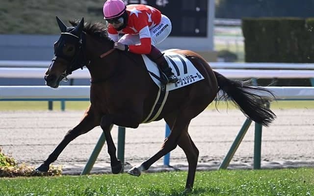 【京都5R新馬戦結果】ロードカナロア産駒ルージュソリテールが好位抜け出しV