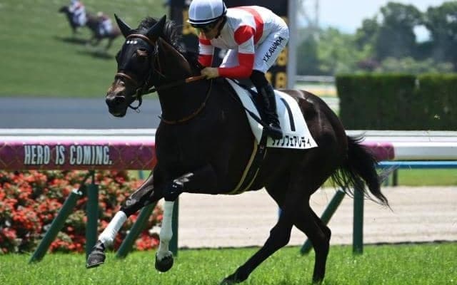 京都芝はキズナ産駒が好調 エルフィンSはダノンフェアレディを信頼