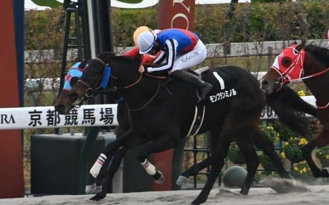 【今日の注目ポイント】代替開催の京都でアルデバランSとエルフィンS